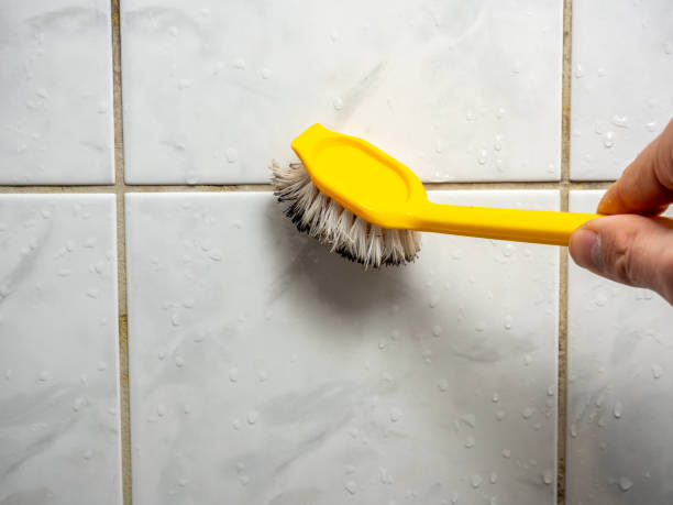 Professional Mold Removal in Fennville, MI