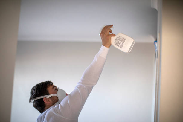 Best Mold Remediation  in Fennville, MI