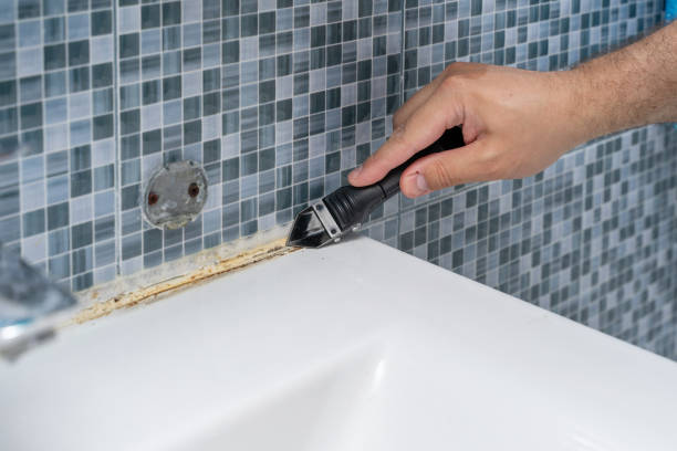 Best Black Mold Removal  in Fennville, MI