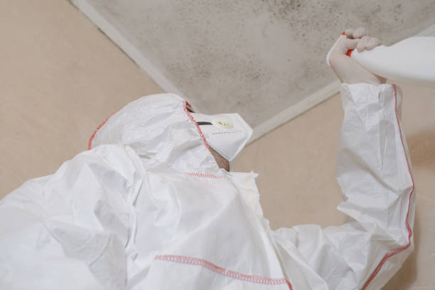 Best Office Mold Removal Services  in Fennville, MI